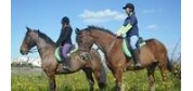 Golden Bay Horse Riding