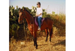 Golden Bay Horse Riding