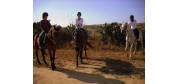 Golden Bay Horse Riding